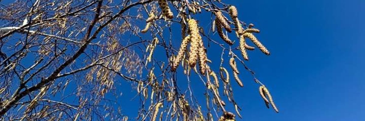 Terugkijkend op maart en roert zijn muzikale staart