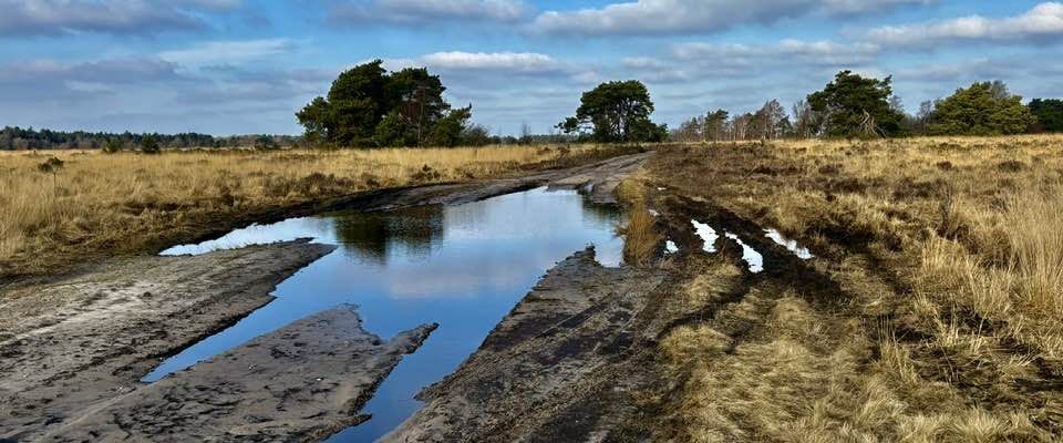 Terugkijkend op februari in het midden van het eerste kwartaal.
