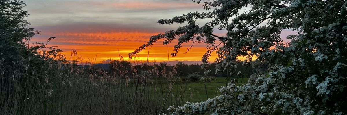 Terugkijkend op april nat en kil