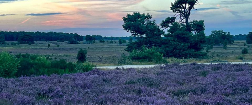 Terugkijkend op augustus en vol hernieuwde energie naar september