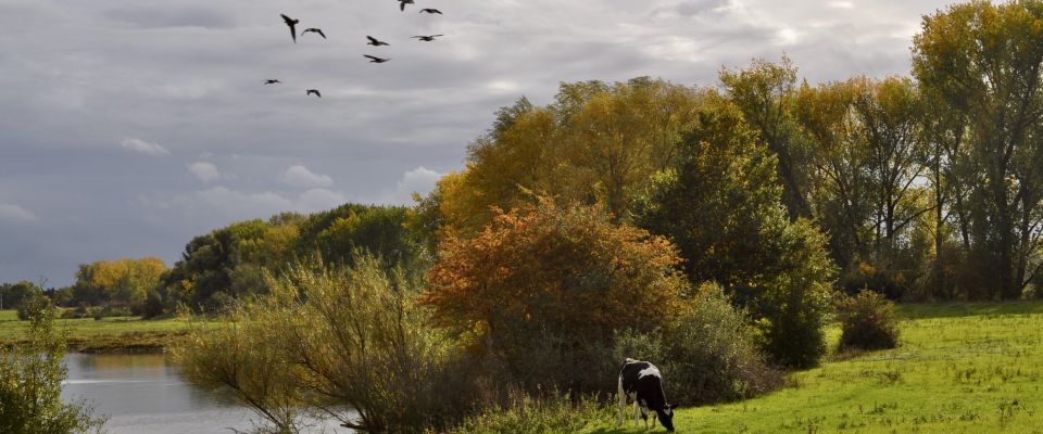 Vandaag kijk ik dankbaar terug op een drukke maand september, de R zit weer in de maand.
