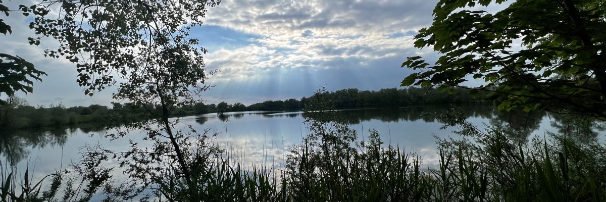 Terugkijkend op mei en de eerste geplukte aardbei