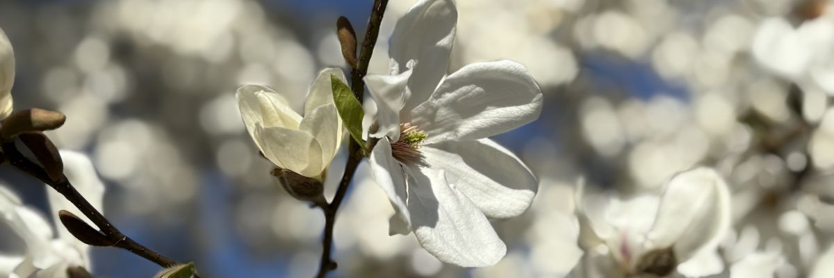 Terugkijkend op maart en voorbij vloog het eerste kwartaal
