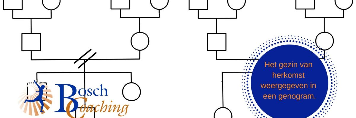 Onderzoeken waar knelpunten liggen door een genogram!
