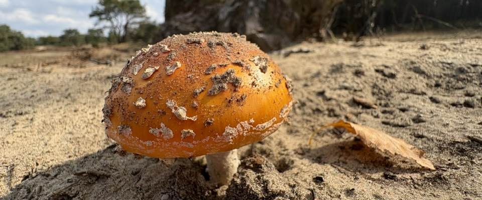 Terugkijkend op september en de R zit weer in de maand
