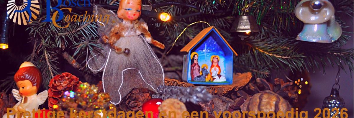 Terugkijkend op 2025, en vooruit naar 2026!