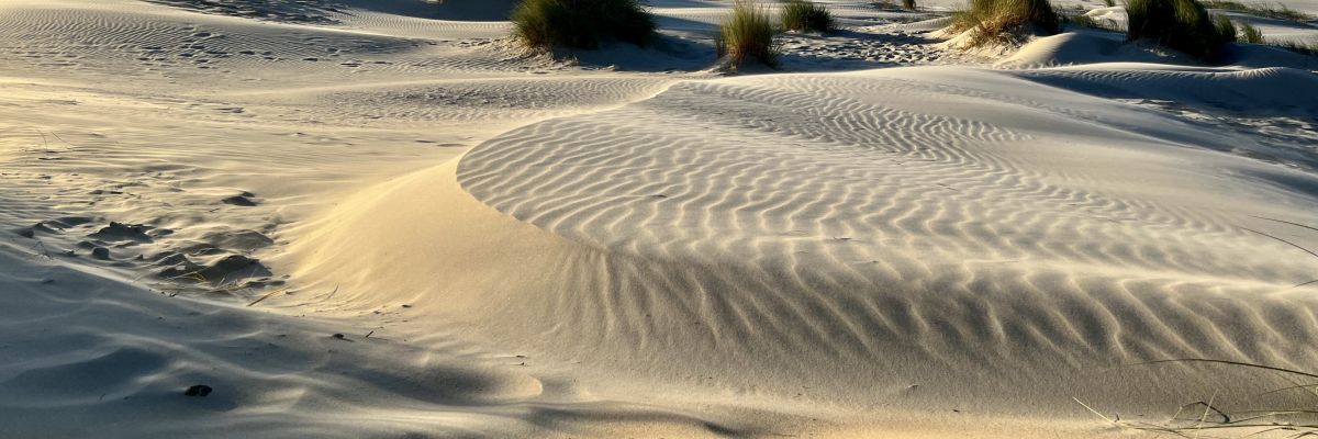 Terugkijkend op augustus vol hernieuwde energie beginnen aan september
