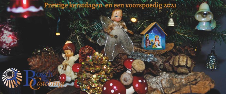 Prettige kerstdagen en een voorspoedig 2021