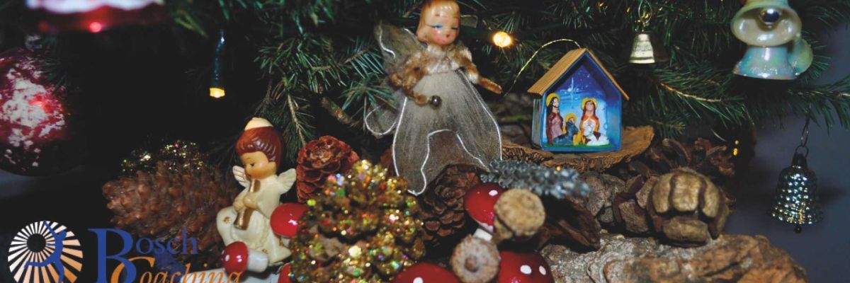 Prettige kerstdagen en een voorspoedig 2021