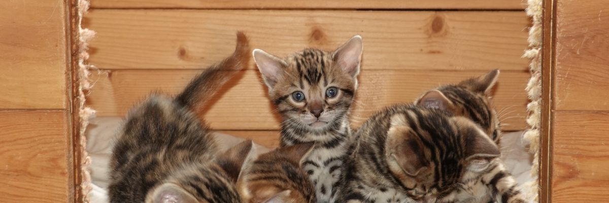 Terugkijkend op Februari, de R zit diep in de maand