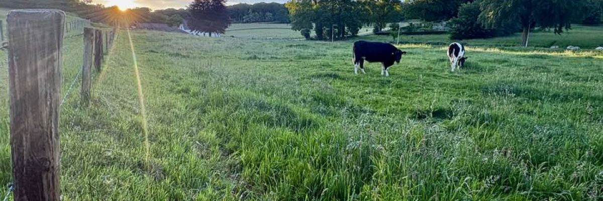 Terugkijkend op mei vrolijk, blij en tevreden