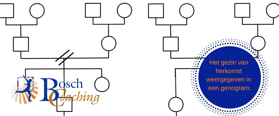 Onderzoeken waar knelpunten liggen door een genogram!