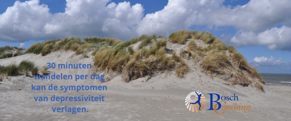 Radiofragment Omroep Gelderland