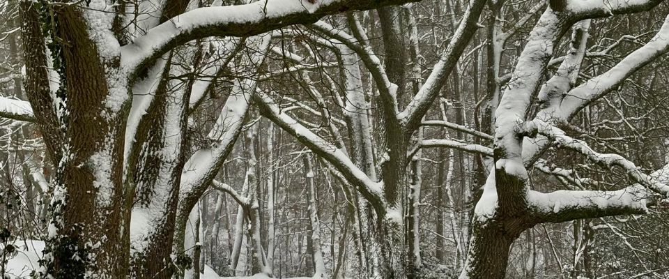 Terugkijkend op januari de eerste maand in het jaar 2026