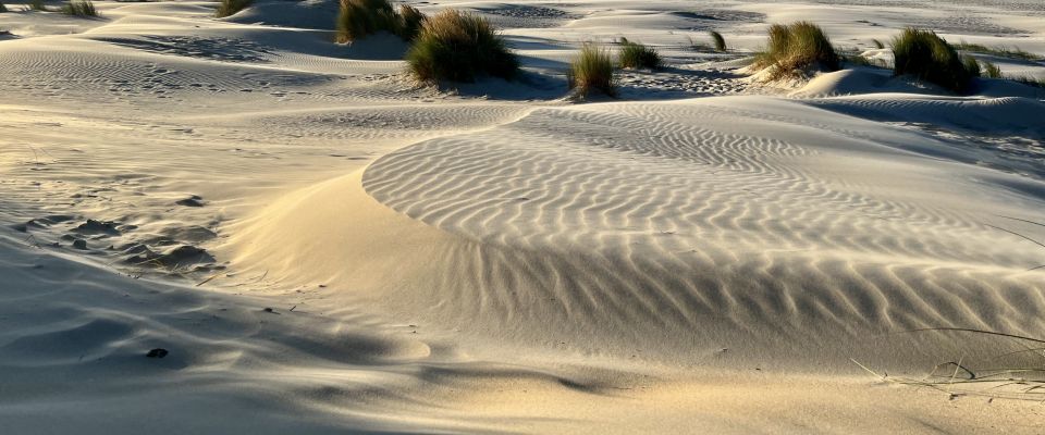 Terugkijkend op augustus vol hernieuwde energie beginnen aan september