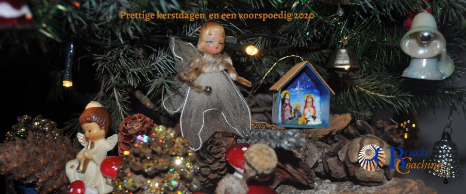 Jubileum jaar Bosch-coaching 10 jaar