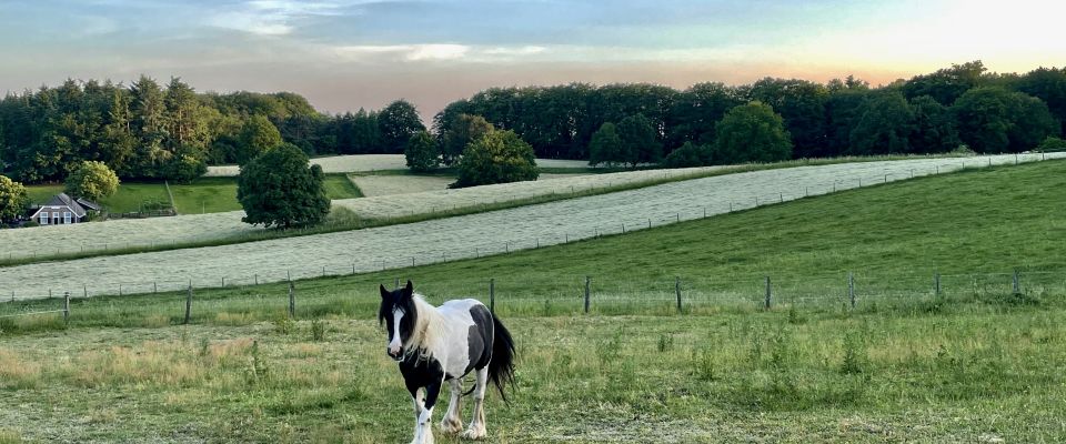 Terugkijkend op juni, zomer, happy en friendly