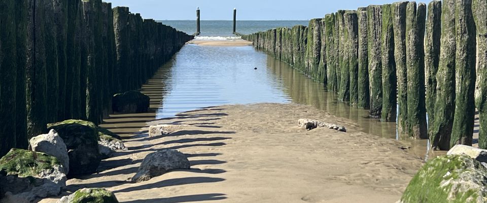 Terugkijkend op mei vrolijk en blij